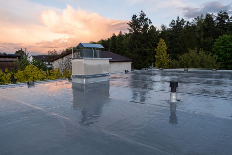Roof Coating