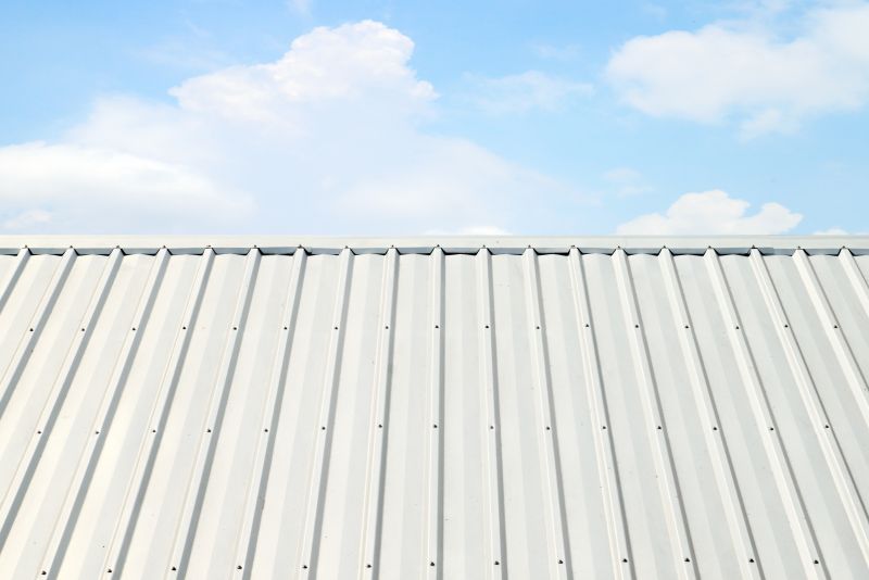 Roof Coating